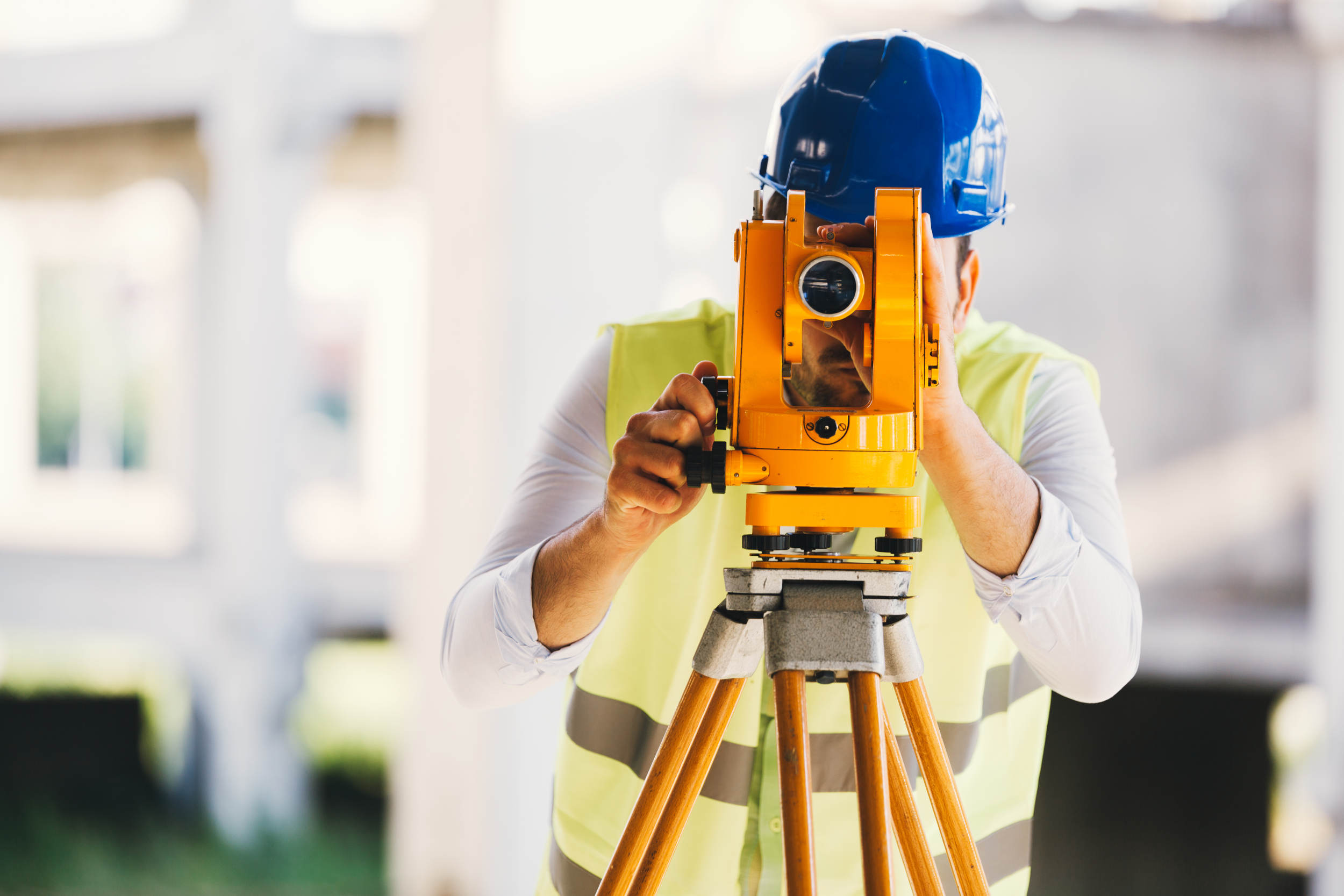 RICS Surveys